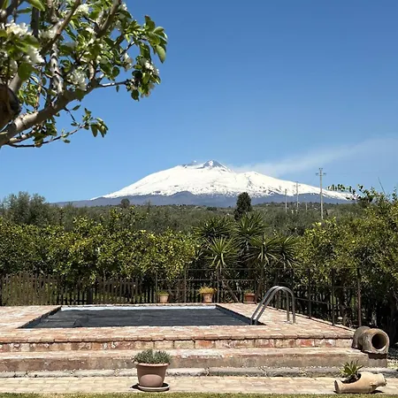 L'aranceto Di Nonno Gianni Villa